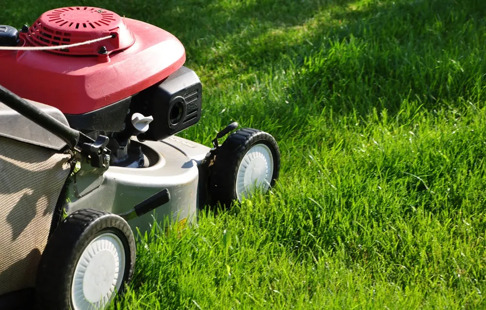 réparation tondeusewebp